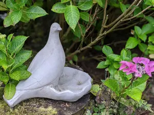 Floor level Birdbath with Perching Pigeon / Bird feeder