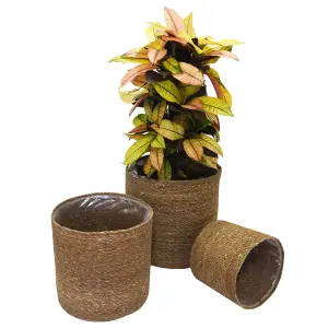 Indoor Planter Basket Natural Chia Seagrass Set of Three 25cm, 22cm & 17cm Diameter Garden Gear