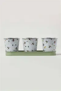 Homescapes Set Of 3 Indoor Plant Pots With Floral Bee Design Green Unisex One Size 5859