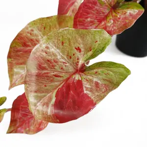 35cm Artificial Hanging Trailing Plant Pink Splash Caladium