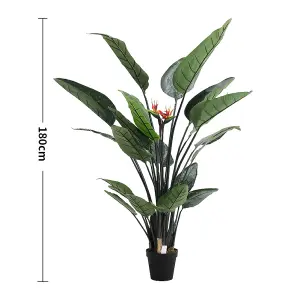 Artificial Plant Fake Potted Bird of Paradise Palm Tree in Black Pot 180 cm