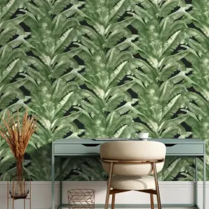 Tropical Green & Black Jungle Palm Wallpaper TR5200