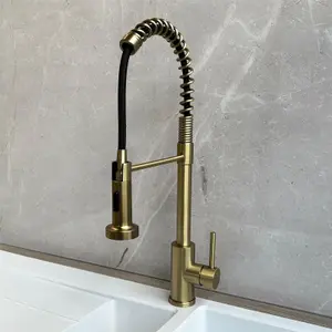 Liquida CT595BR Brushed Brass Spring Kitchen Mixer Tap With Pull Out Spray Head