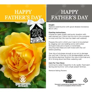 Happy Father's Day Yellow Rose - Outdoor Plant, Ideal for Gardens, Compact Size