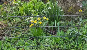 Decorative Metal Fence in a Grey Rustic Metal