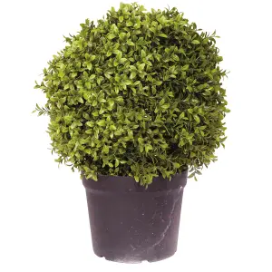 Bloom Artificial Large Boxwood Ball Topiary in Nursery Pot - Faux Fake Realistic Green Plant - Measures H50cm x 40cm Diameter