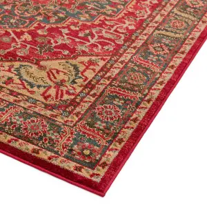 Traditional Graphics Floral Cotton Backing Rug for Living Room Bedroom and Dining Room-240cm X 340cm