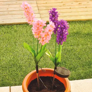 2 x Hyacinth Style Solar Stake Lights - Pink & Purple Flower Shaped Outdoor Garden Lighting Decorations - Each Measure H70cm