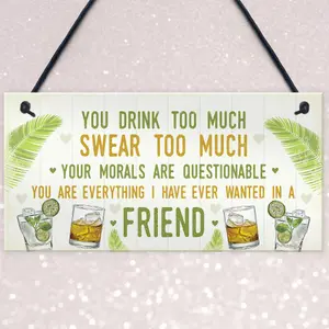 Red Ocean Funny Best Friend Friendship Sign Drink Too Much Gin Vodka Birthday Gift