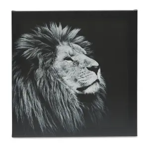 Animals Black & white Canvas art, Set of 3 (H)30cm x (W)90cm