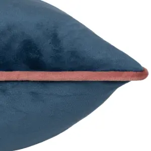 Paoletti Meridian Velvet Feather Rich Cushion