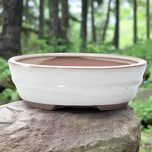 18cm Glazed Bonsai Pot - Oval - 18cm x 15cm x 5cm - White