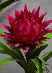 Pink Tropical Plant with Black Ceramic Pot Artificial Plant Foliage