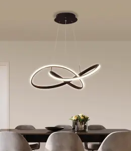 Hanging Lamp LED Pendant Light Creative Round Ring Modern Chandelier 55 cm Black