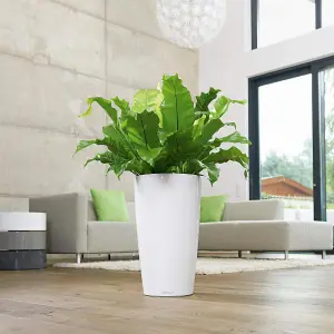 LECHUZA RONDO 75cm Tall Planter, White Self-watering Large Plant Pot with Substrate and Water Level Indicator D40 H75 cm, 22L