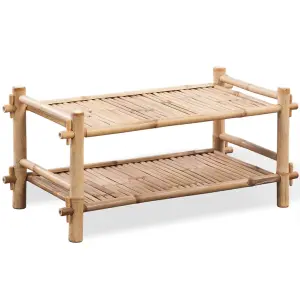 Durable 2-Tier Bamboo Shoe Rack