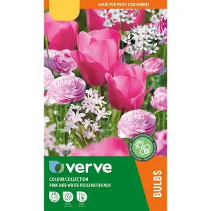 Colour Collection - Pink Pollinator 40 Flower bulbs