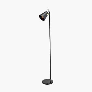 Black and Brushed Brass Task Floor Lamp