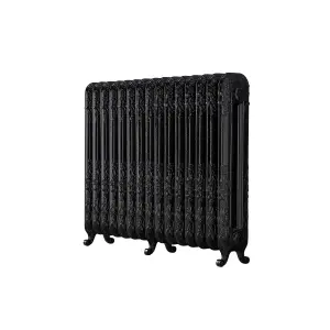 Arroll Daisy Cast iron Black 15 Column Radiator, (W)1009mm x (H)597mm