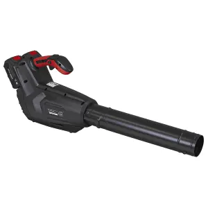 Sealey SV20 Series Cordless Blower 40V Heavy Duty Trigger Lock Body Only CP40VB