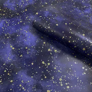 Twinkle Twinkle Wallpaper Blue / Gold Muriva 218501