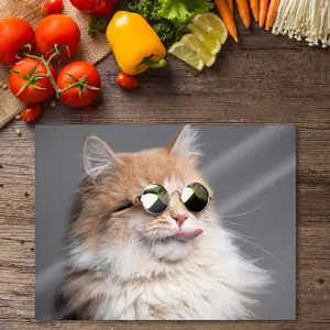 Premium 40 x 30cm 6mm Grey Cat with Glasses Worktop Saver Chopping Board Toughened