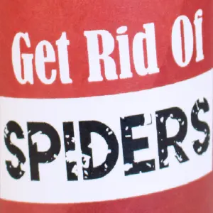 Primrose Pestbye Get Rid of Spiders Spray Spider Repelling Spray for Homes Gardens Garages or Sheds