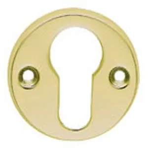 45mm Euro Profile Open Escutcheon 8mm Depth Polished Brass Keyhole Cover