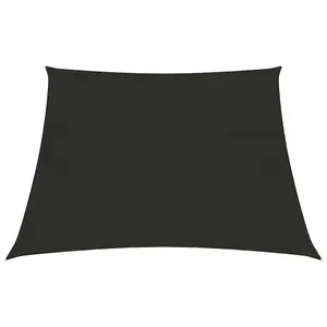 Berkfield Sunshade Sail 160 g/m2 Black 3/4x2 m HDPE