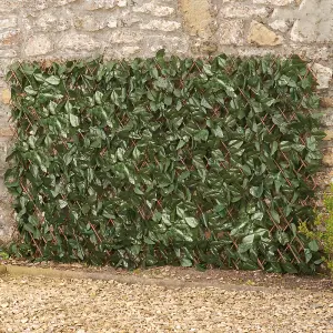 Artificial Ivy Hedge Trellis 1 x 2m Expandable Privacy Screening Panel for Gardens, Balcony and Terraces (x4)