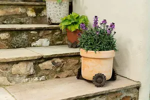 Daisy Plant Pot Feet - Set of 3 - L7 x W8 x H8 cm