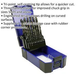 25-Piece HSS Tri-Point M2 Drill Bit Set with Self-Centring Tips - Sizes 1mm to 13mm