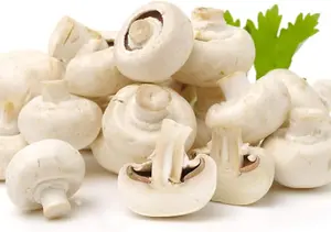 Vegetable Hard Good Mushroom Windowsill Kit White 7.5 Litre Prepack x 1 Unit