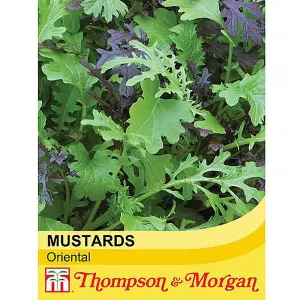 Salad Leaves Oriental Mustards 1 Seed Packet