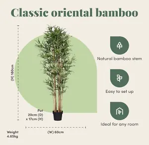 Blooming Artificial - 180cm / 6ft Fake Oriental Bamboo