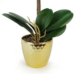 50cm Phalaenopsis Orchid Artificial - Dark Red - Gold Pot