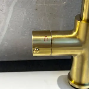 Liquida HT43BG 4 In 1 Brushed Gold Instant Boiling Water Kitchen Tap