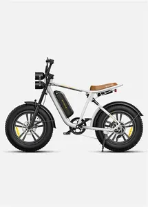 ENGWE M20 Electric Bike W750 25KM/H For Adults, Dual Battery 13AH E-Bike