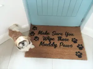 Country Home Wipe Your Paws Extra Large Doormat