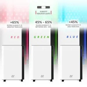 NETTA 20L Compact Dehumidifier - Digital Control Panel, Air Filter, Auto Restart, Low Energy 345W