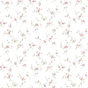 Galerie Pretty Prints Pink Como Floral Trail Wallpaper Roll