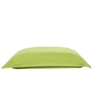 Large Bean Bag Lime Green FUZZY