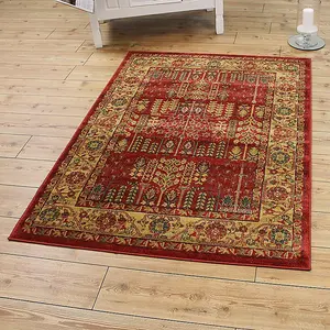 Traditional Cotton Backing Floral Graphics Rug for Living Room Bedroom and Dining Room-200cm X 300cm