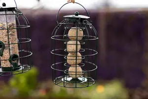 3pack Wild Bird Feeders for Seeds, Peanut, fat ball feeder Squirrel resistant