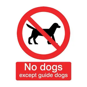 No dogs except guide dogs Self-adhesive labels, (H)100mm (W)100mm