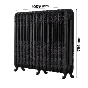 Arroll Daisy Cast iron Black 15 Column Radiator, (W)1009mm x (H)794mm