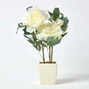 Homescapes Cream Artificial Peonies in Decorative Cream Pot, 48 cm Tall