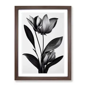 XV1022-2844X Monochrome Flower - Single Picture Frame Painting Walnut / 46cm H x 34cm W x 2cm D