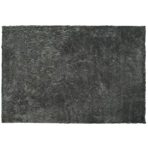 Shaggy Area Rug 200 x 300 cm Dark Grey EVREN