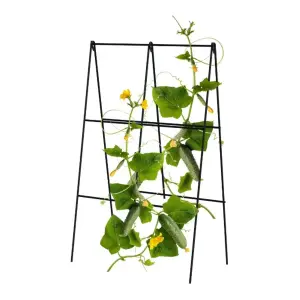 Primrose Folding A-Frame Cucumber Trellis in Powder Coated Steel Black 100cm